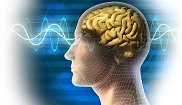 Ilustração do cérebro e de sinais relacionados ao funcionamento cerebral